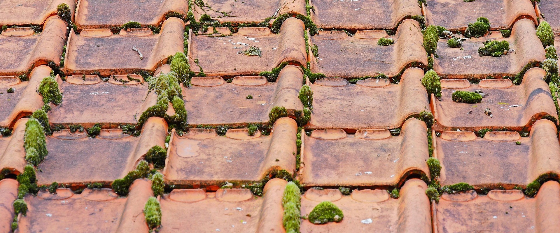 Enhancing Senior Living with Expert Shingle Roofers in Lumberton