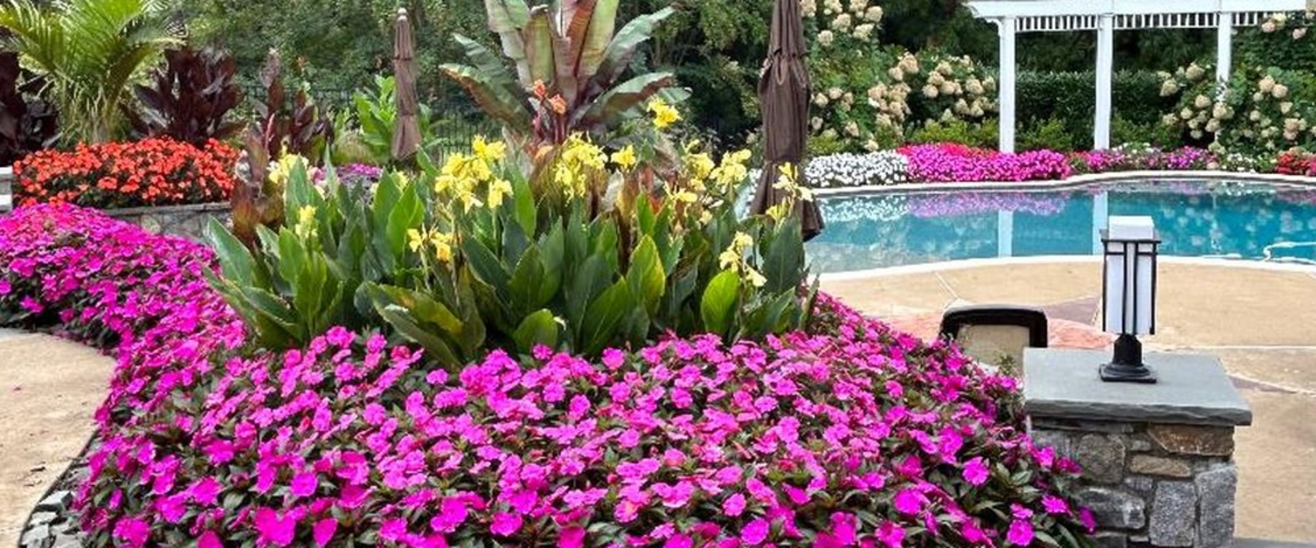 Top Benefits Of Yard Service For Senior Living Communities In Damascus, OR