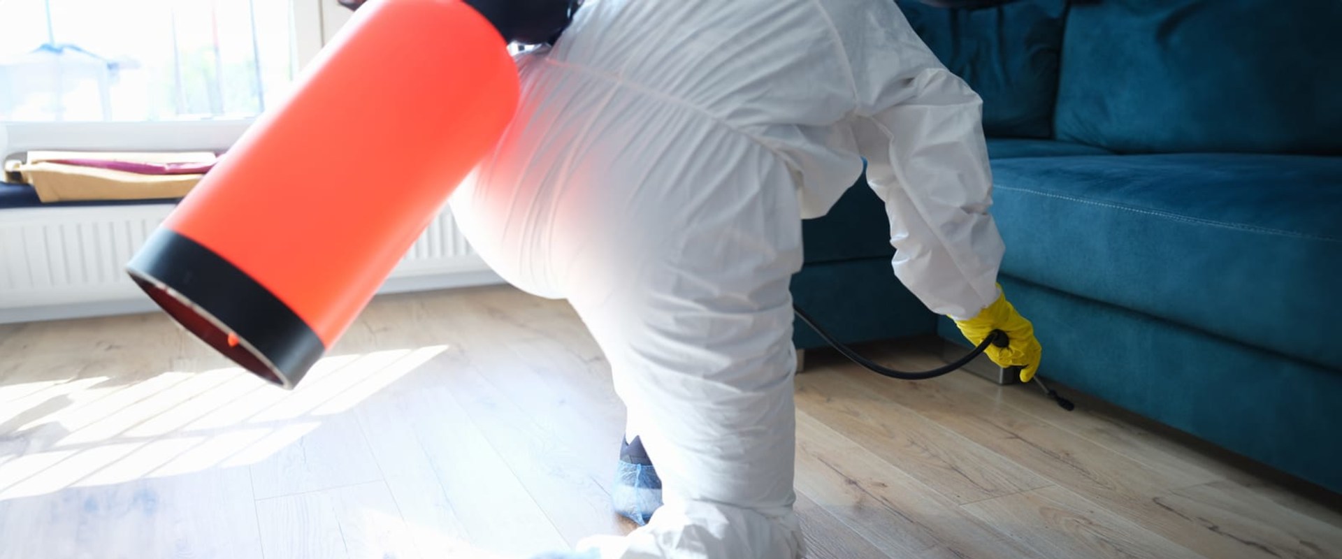 Ensuring Safe Senior Living: Mold Remediation in Lewisville