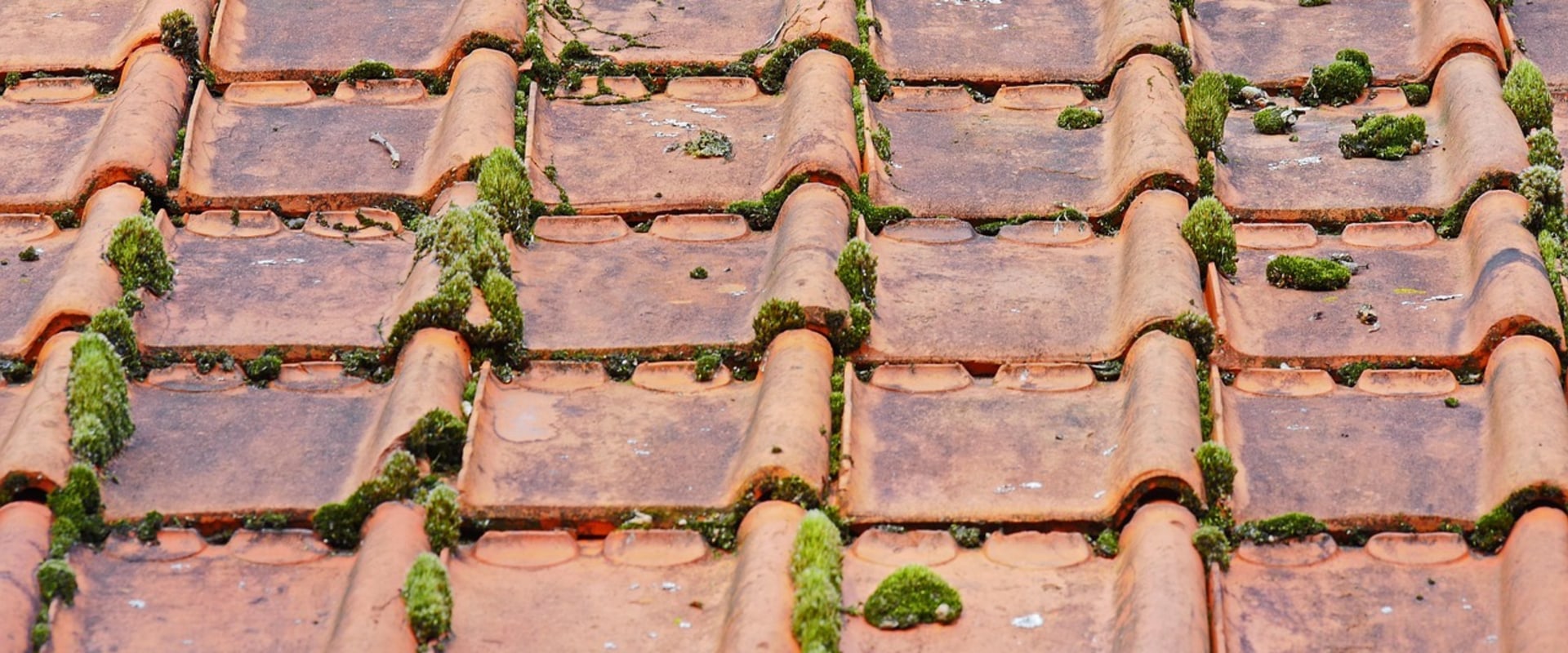Choosing the Right Roof Contractor for Senior Living