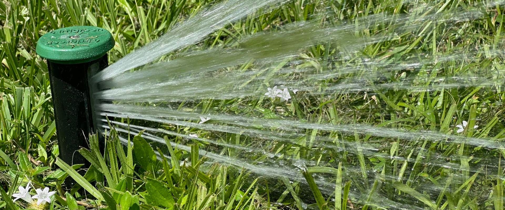 How Sprinkler Systems Enhance Senior Living Communities In Winter Garden, FL
