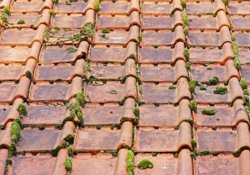 Enhancing Senior Living with Expert Shingle Roofers in Lumberton