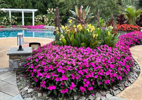 Top Benefits Of Yard Service For Senior Living Communities In Damascus, OR