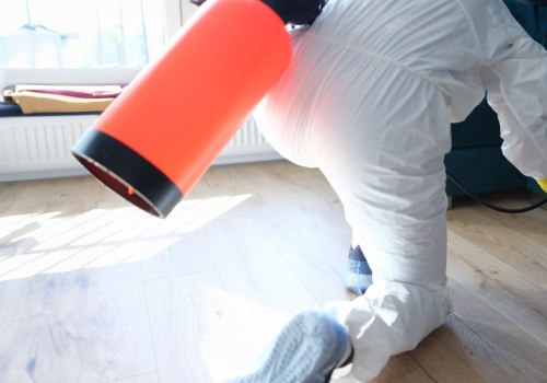 Ensuring Safe Senior Living: Mold Remediation in Lewisville