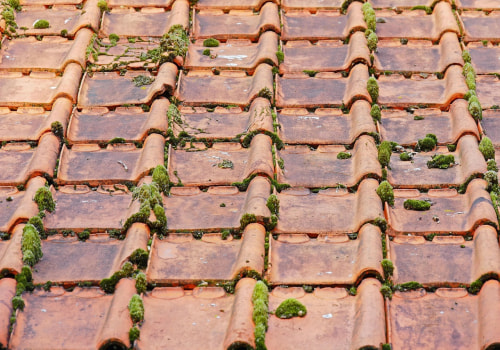Choosing the Right Roof Contractor for Senior Living